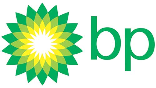 Green and yellow flower-like logo next to lowercase letters "bp.