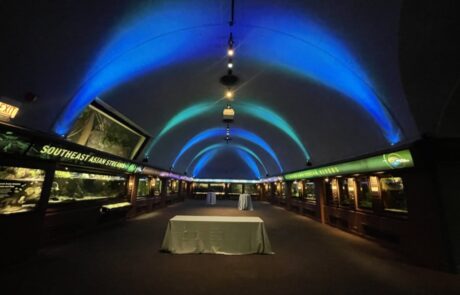 Interior of an aquarium tunnel with blue lighting and exhibit displays on either side.