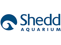 Logo of shedd aquarium featuring a stylized wave graphic.